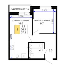 Однокомнатная в Литер 24