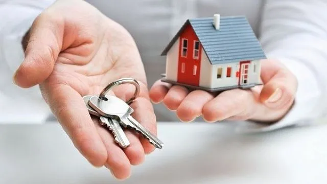 Закон о самозанятых: что нужно знать тем, кто сдает жилье в аренду
