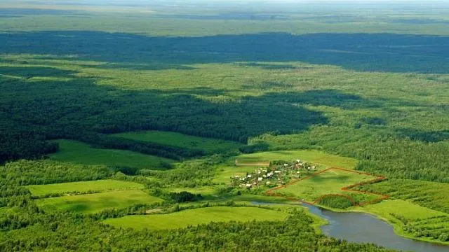 Около 3,2 тыс. га земель в РФ введут в оборот под застройку до конца года