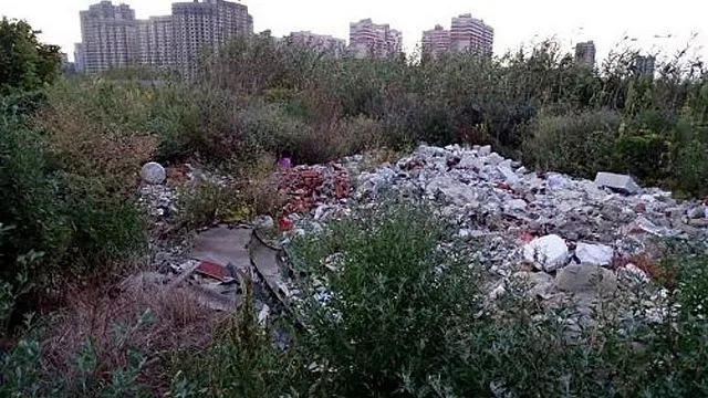 В Краснодаре застройщики, превратившие урочище в свалку, вывезли часть мусора после вмешательства экологов