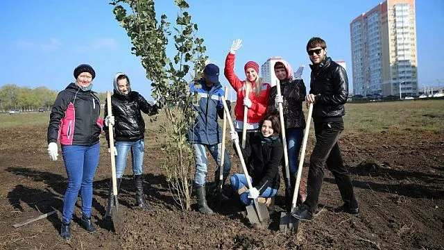 Почти полтысячи новых деревьев посажено в ЖК Суворовский и ЖК Платовский в день древонасаждения